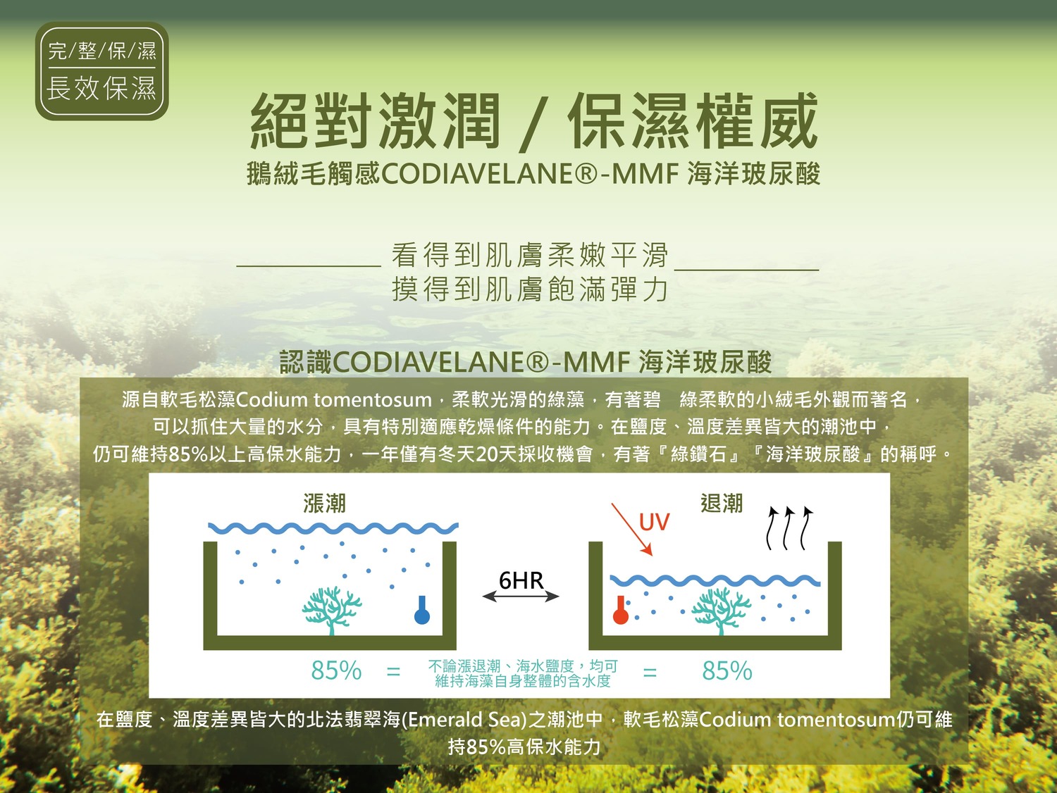 深活水鑽石水潤霜-長效保濕